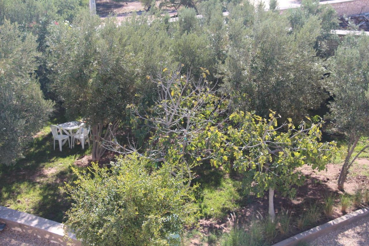 Les Jardins Fleuris Bed & Breakfast Essaouira Bagian luar foto
