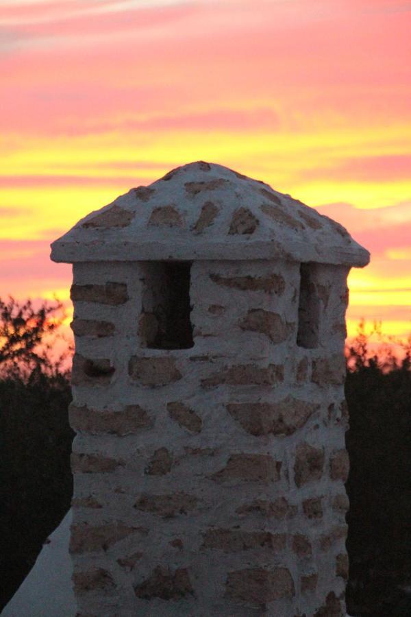 Les Jardins Fleuris Bed & Breakfast Essaouira Bagian luar foto